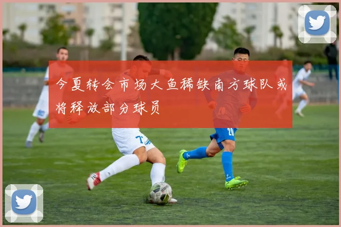 今夏转会市场大鱼稀缺南方球队或将释放部分球员